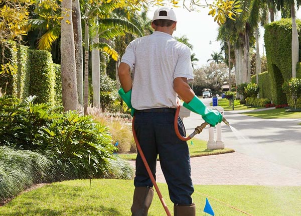 About Washington AR Pest Control Pros